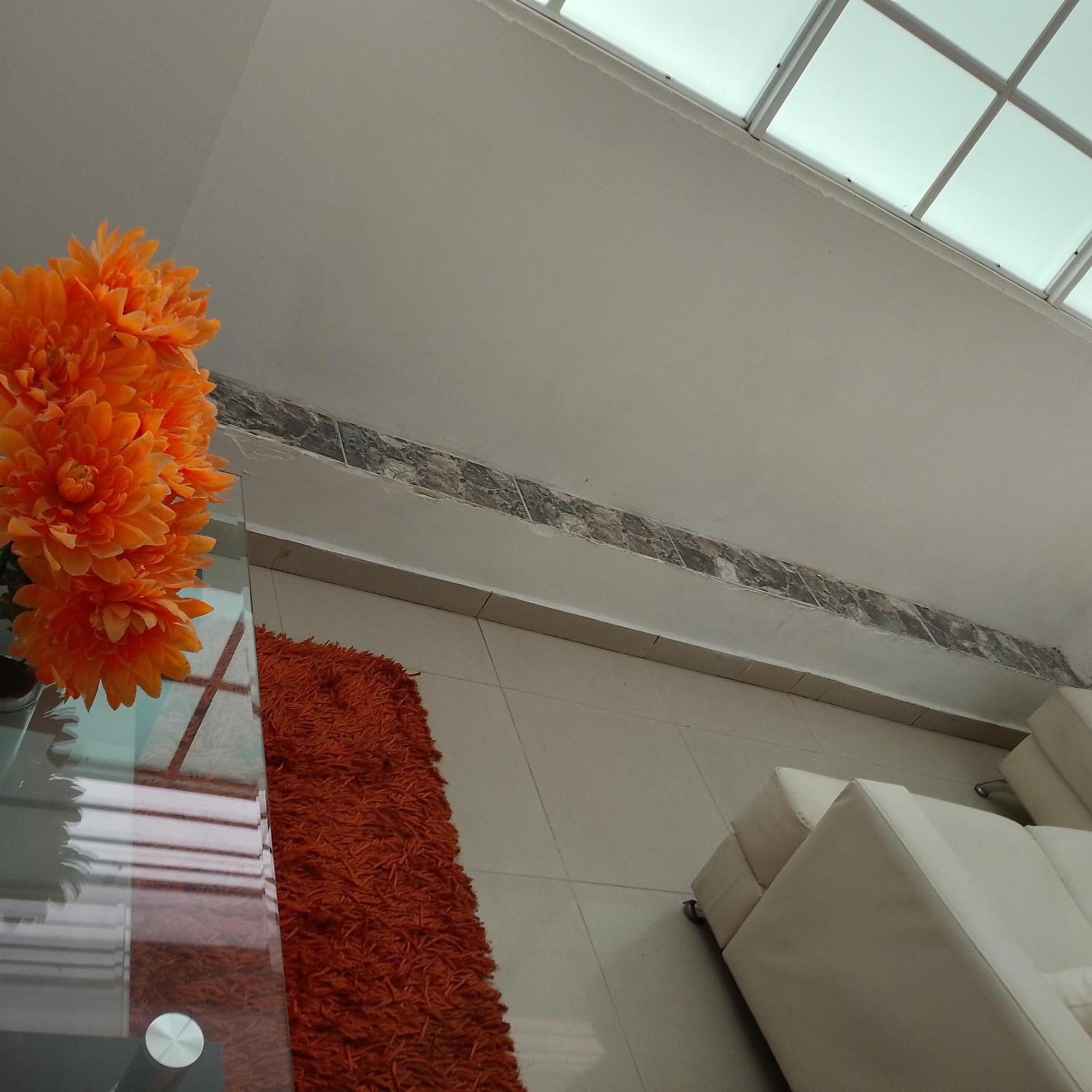Hotel Avenida53 Barranquilla  Dış mekan fotoğraf